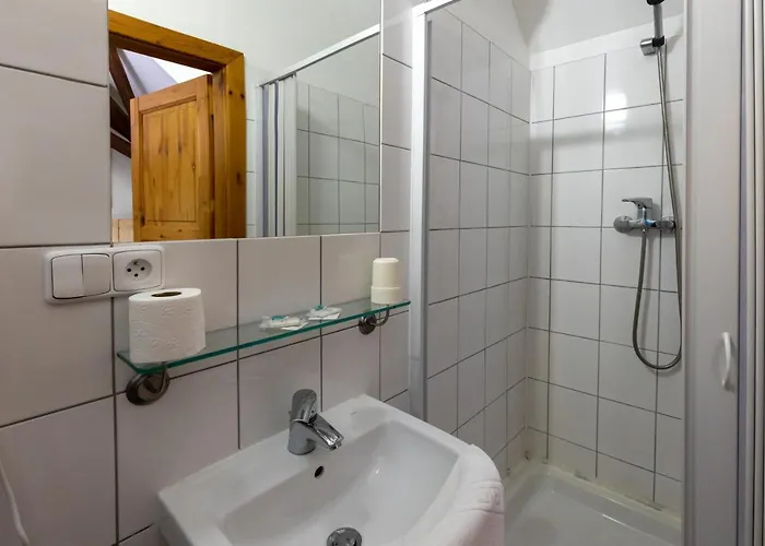 U Zamecku Hotel *